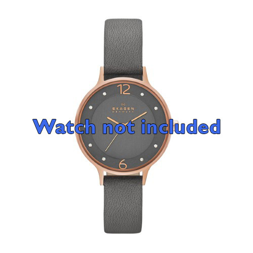 Skagen skw2267 outlet