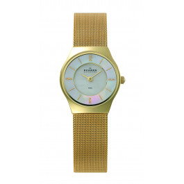 Horlogeband Skagen 233XSGG Mesh/Milanees Doublé 24mm