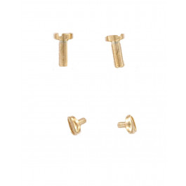 Fossil Bandbevestigingsschroeven ES3262 - 2 stuks