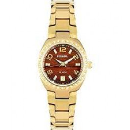 Horlogeband Fossil AM4176 Roestvrij staal (RVS) Doublé 18mm