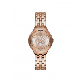 Horlogeband Armani Exchange AX5416 Staal Rosé 14mm