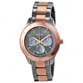 Horlogeband Fossil ES3030 Staal Bi-Color 18mm