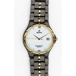 Horlogeband Festina F8871 / BA00187 Titanium