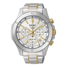 Horlogeband Seiko 6T63-00G0 / SSB107P1 / M0TF111C0 Staal Bi-Color 21mm