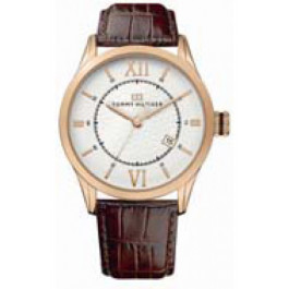 Horlogeband Tommy Hilfiger TH-85-1-34-0816 - TH679301079 Leder Bruin 21mm