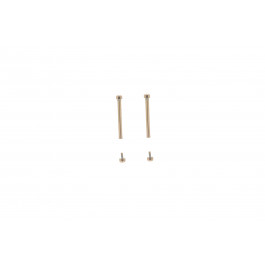 Michael Kors Bandbevestigingsschroeven MK6110 / 11xxxx - 17mm - ∅ 2mm - 2 stuks