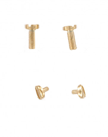 Fossil Bandbevestigingsschroeven ES3262 - - 2 stuks