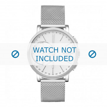 Horlogeband Smartwatch Skagen SKT1100 / Hagen Mesh/Milanees Staal 20mm