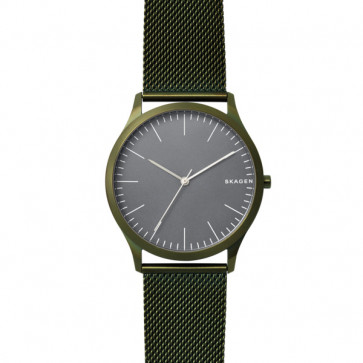 Skagen horlogeband SKW6425 Staal Groen 22mm