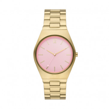 Horlogeband Skagen SKW6869 Staal Doublé 22mm