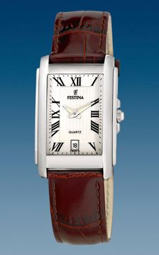 Horlogeband Festina F16202 Leder Bruin