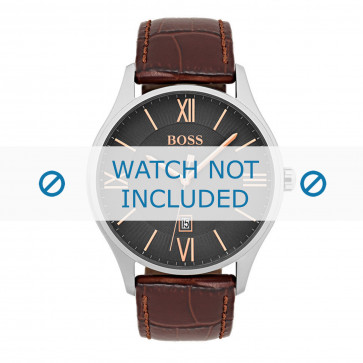 Horlogeband Hugo Boss HB-303-1-14-2975 / HB1513520 Leder Bruin 22mm