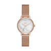 Horlogeband DKNY NY2703 Staal Rosé 14mm