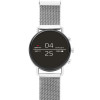 Horlogeband Skagen SKT5102 Mesh/Milanees Staal 20mm