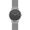 Horlogeband Skagen SKW6483 Mesh/Milanees Staal 20mm