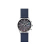 Horlogeband Skagen SKW6653 Leder Blauw 22mm