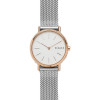 Horlogeband Skagen SKW1106 Staal 14mm