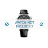 Horlogeband Tommy Hilfiger TH-145-1-14-1269 / TH679301450 Leder Zwart 22mm