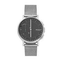 Horlogeband Skagen SKT1113 Mesh/Milanees Staal 20mm