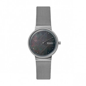 Horlogeband Skagen SKW2832 Roestvrij staal (RVS) Grijs 16mm