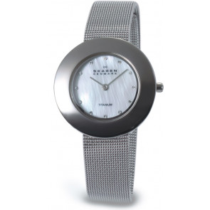 Horlogeband Skagen 569STW Titanium Staal