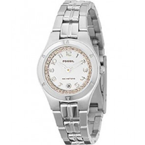 Horlogeband Fossil AM3982 Roestvrij staal (RVS) Staal 8mm