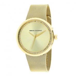 Horlogeband Armani Exchange AX4502 Staal Doublé 22mm