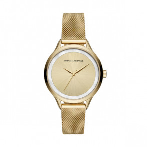 Horlogeband Armani Exchange AX5601 Staal Doublé 16mm