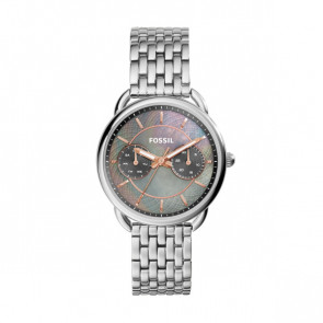 Horlogeband Fossil ES3911 Staal