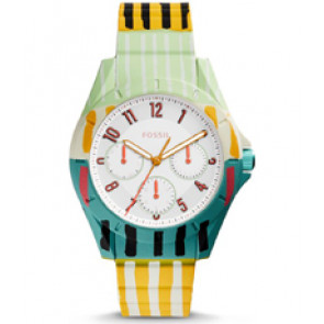 Horlogeband (Band + Kastcombinatie) Fossil ES4244 Onderliggend Silicoon Multicolor