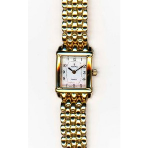 Horlogeband Festina F8862 Staal Doublé