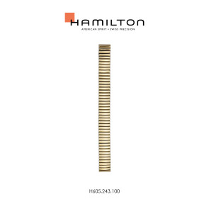 Horlogeband Hamilton H600.243.100 / STAAL Staal Doublé 17mm