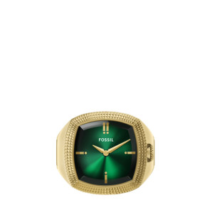 Horlogeband Fossil LE1213 Staal Doublé 6mm