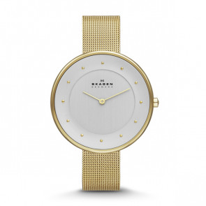Skagen horlogeband SKW2141 / 254XXXX Staal Doublé 14mm