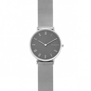 Horlogeband Skagen SKW2677 Staal Staal / RVS 16mm
