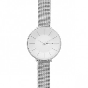 Horlogeband Skagen SKW2687 Staal Staal / RVS 14mm