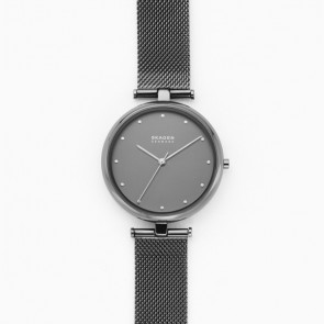 Horlogeband Skagen SKW2829 Mesh/Milanees Grijs 16mm