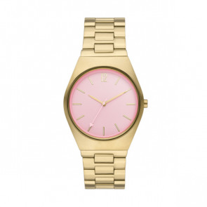 Horlogeband Skagen SKW6869 Staal Doublé 22mm
