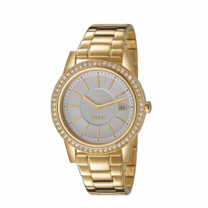 Horlogeband Esprit ES106112 Staal Doublé 18mm