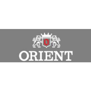 Horlogeband Orient UG1H-CO-A Staal Staal