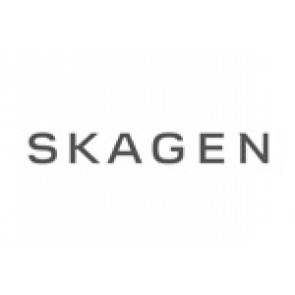 Horlogeband Skagen 358XSGS Mesh/Milanees Staal